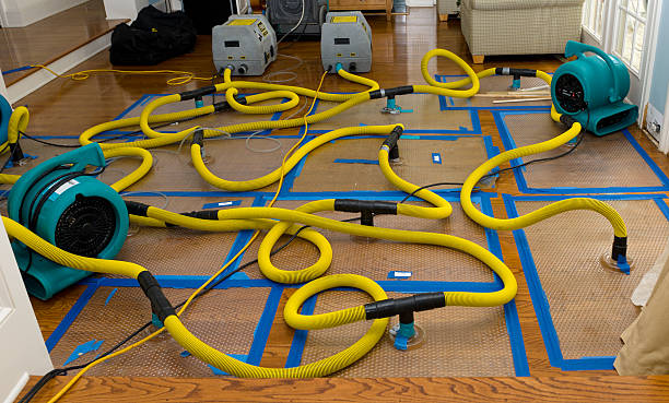 Professional Crawl Space Water Removal technician working in Rowlett, TX